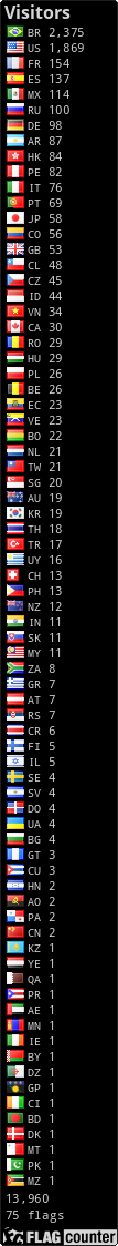 Flag Counter
