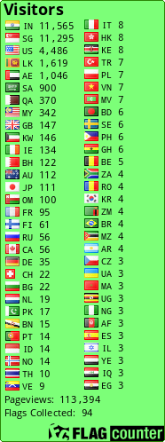 Flag Counter