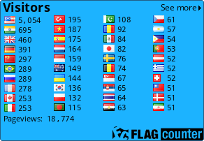 Flag Counter