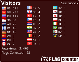 Flag Counter